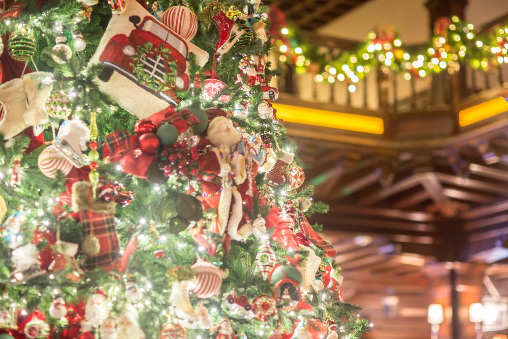 Hotel Del Coronado -Christmas LIGHTS