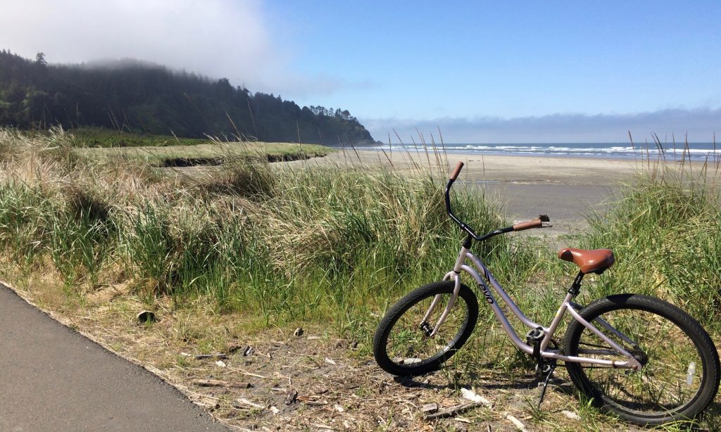 Long Beach Peninsula Discovery Trail View CZ