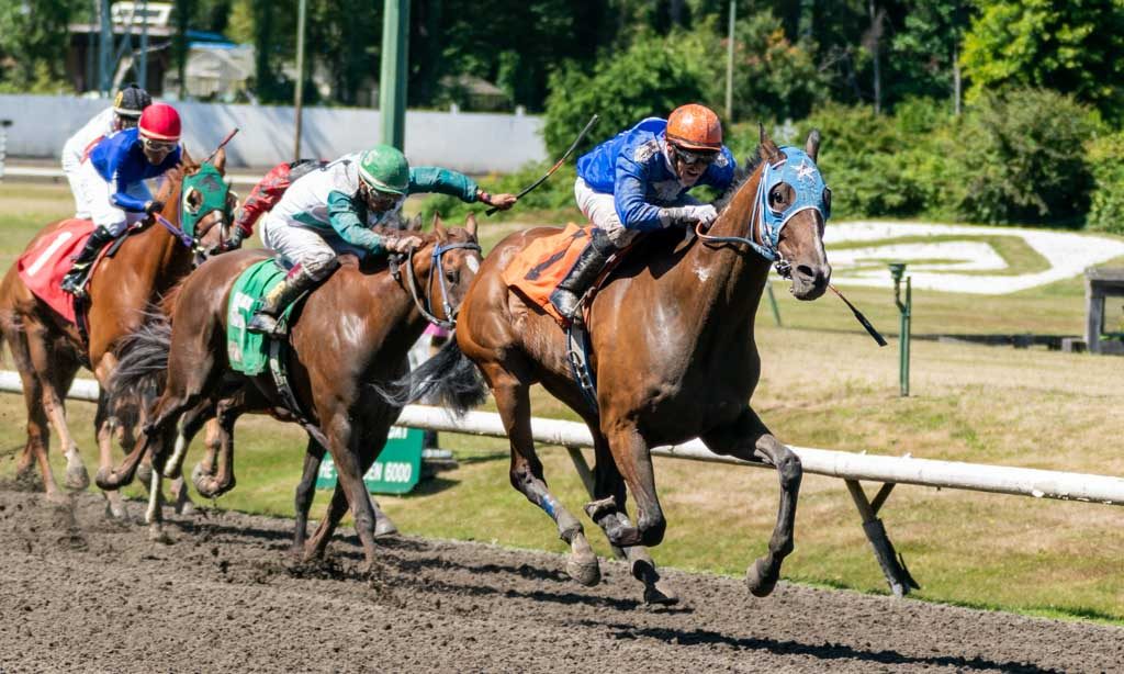 Deighton Cup at Hastings Racecourse 2019