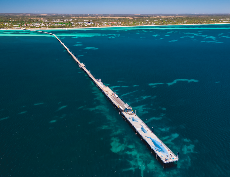 EFWA 2022 Busselton Jetty Whales