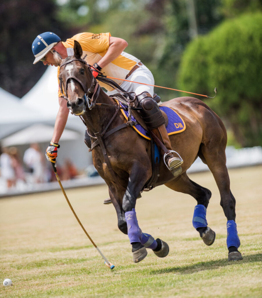 Vancouver International Polo Festival