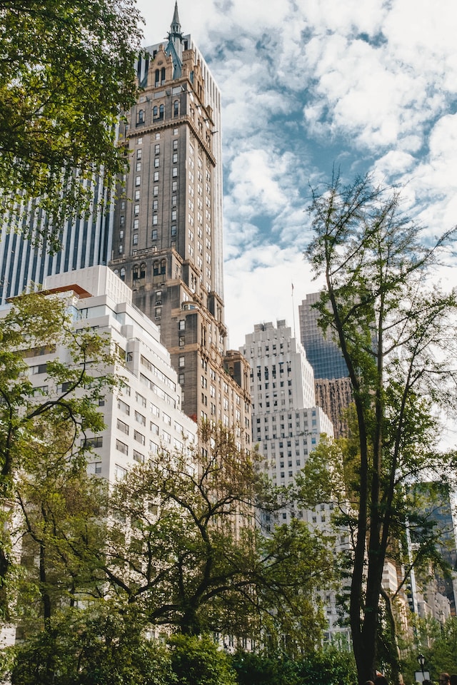 New York Central Park